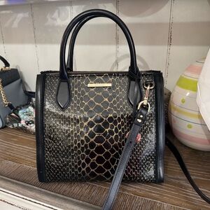 Brahmin Small Caroline Black Cavatica